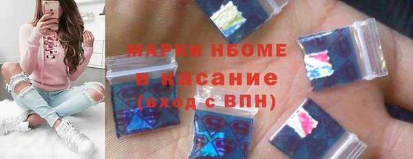 шишки Надым