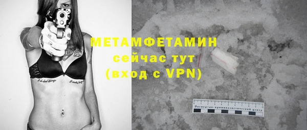 шишки Надым