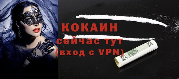 шишки Надым