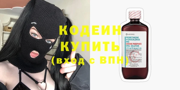 шишки Надым