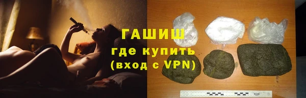 шишки Надым