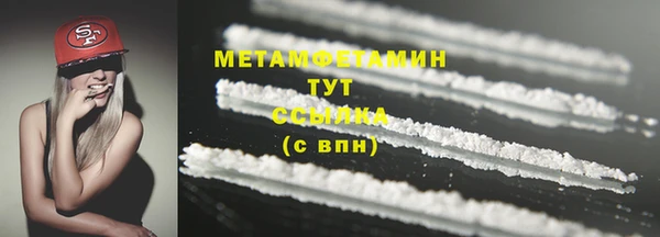 шишки Надым