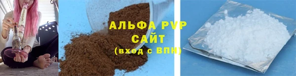 шишки Надым