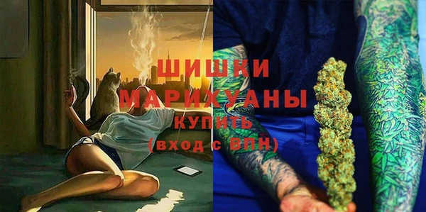 прущие грибы Нефтекумск