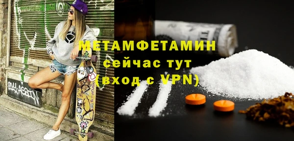 шишки Надым