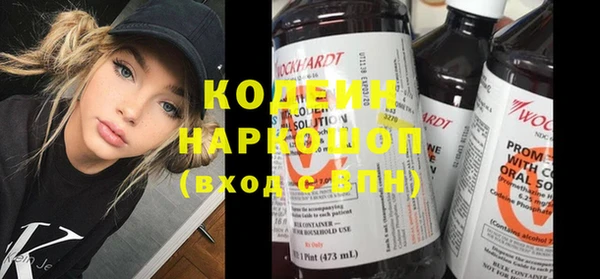 шишки Надым