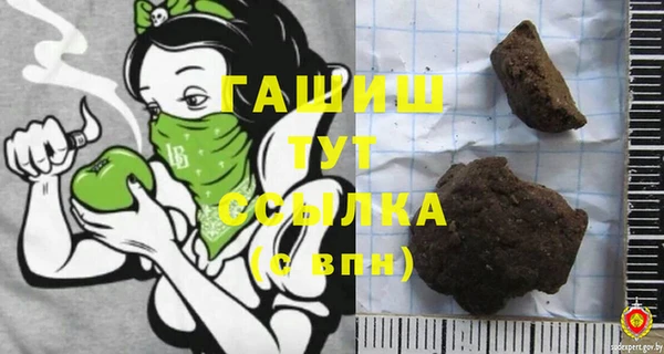 шишки Надым