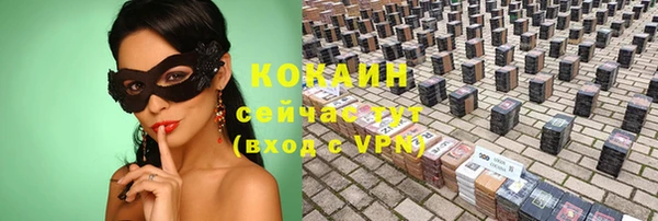 шишки Надым