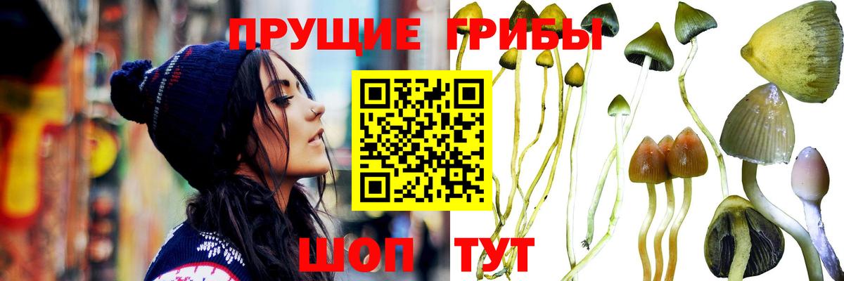 даркнет сайт  Галлюциногенные грибы мицелий  Вход с VPN  Псилоцибиновые грибы мицелий  Морозовск 