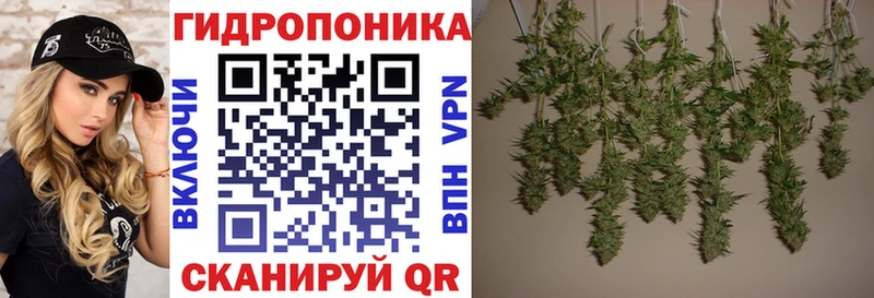 Бошки марихуана Amnesia  купить наркоту  Морозовск 
